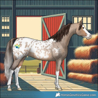 Horse Color:Bay Roan Dun Splash Appaloosa 