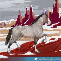 Horse Color:Brown Roan Sabino Splash Appaloosa