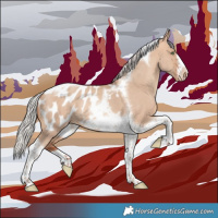 Horse Color:Silver Amber Champagne Dun Tobiano Frame Appaloosa Rabicano