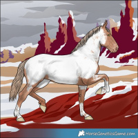 Horse Color:Gold Champagne Tobiano Appaloosa