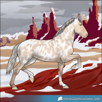 Horse Color:Silver Amber Champagne Dun Sabino Tobiano Appaloosa 