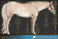 Horse Color:Chocolate Palomino Pearl Varnish Rabicano 
