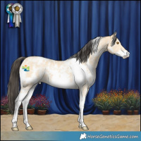 Horse Color:White Spotted Buckskin Sabino 