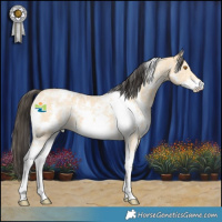 Horse Color:White Spotted Buckskin Sabino 