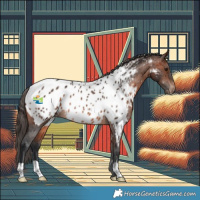Horse Color:Brown Near Leopard Rabicano 