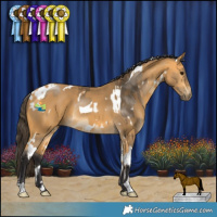 Horse Color:Buckskin Tobiano and White Spotted Buckskin