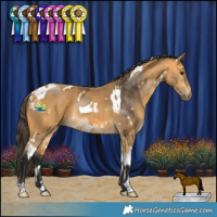 Horse Color:Buckskin Tobiano  and White Spotted Buckskin 