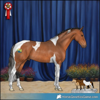 Horse Color:Bay Tobiano Rabicano