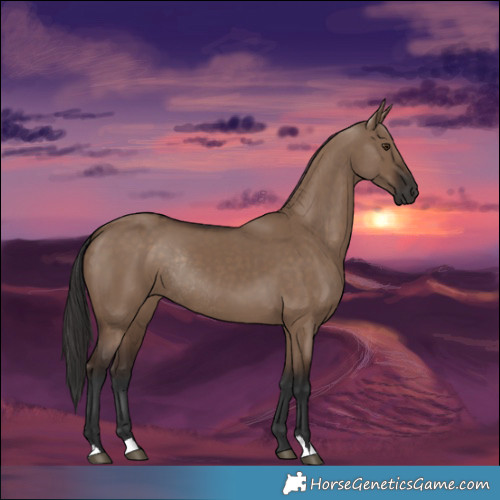 Horse Color:Liver Red Dun Rabicano