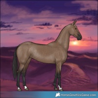 Horse Color:Liver Red Dun Rabicano
