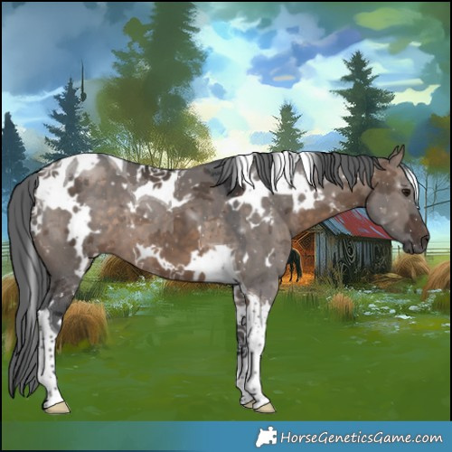 Horse Color:White Spotted Brown Dun Merle Tobiano 