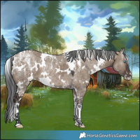 Horse Color:Powder White White Spotted Brown Dun Merle