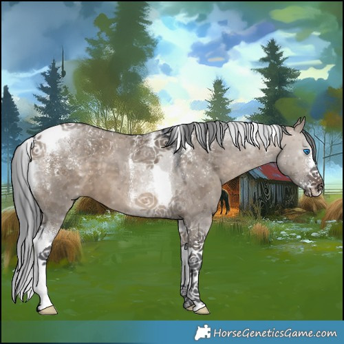 Horse Color:Powder White Brown Dun Merle Tobiano 
