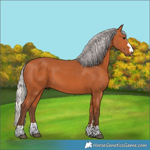 Horse Color:Silver Bay 