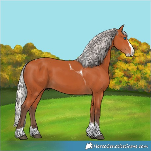 Horse Color:Silver Bay Splash Tobiano 
