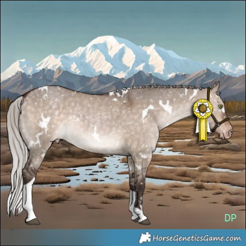 Horse Color:White Spotted Silver Brown Dun Tobiano Appaloosa Rabicano