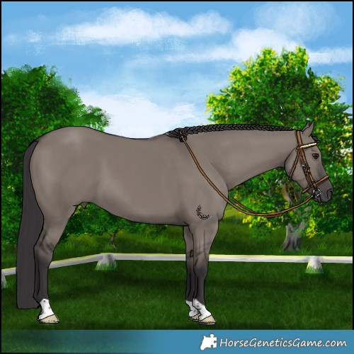 Horse Color:Platinum Smoky Grullo 
