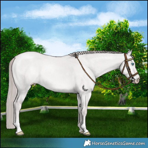 Horse Color:Platinum Smoky Creme Dun Mushroom 