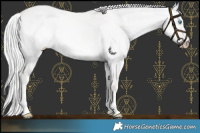 Horse Color:Platinum Cremello Dun Mushroom