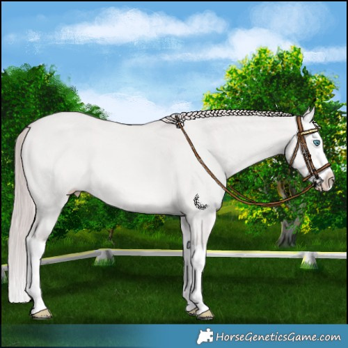 Horse Color:Platinum Smoky Creme Dun Splash 