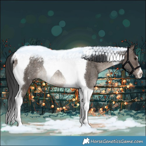 Horse Color:Brown Dun Tobiano Rabicano 