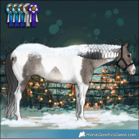 Horse Color:Brown Dun Tobiano Rabicano