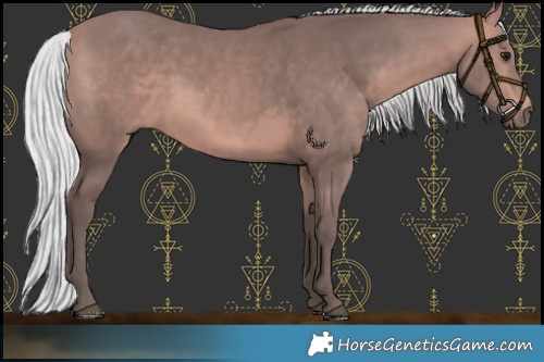 Horse Color:Platinum Silver Bay 