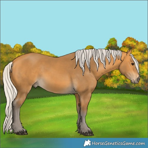 Horse Color:Silver Buckskin 