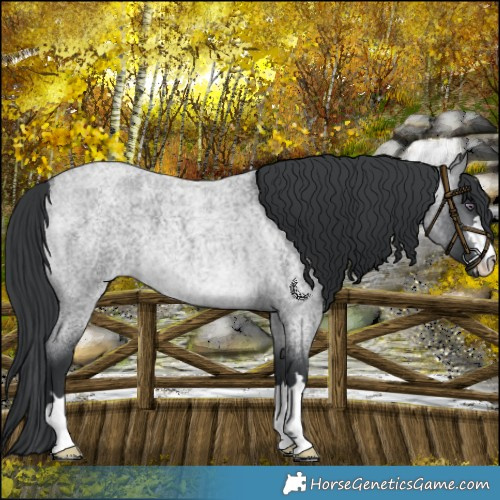Horse Color:Platinum Brown Chinchilla Roan 