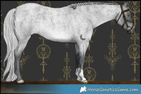 Horse Color:Platinum Silver Blue Chinchilla Roan