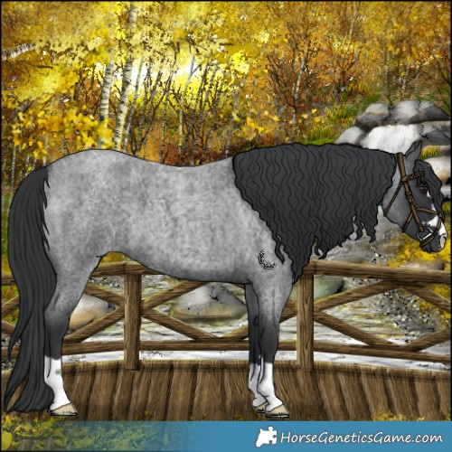 Horse Color:Platinum Blue Chinchilla Roan 