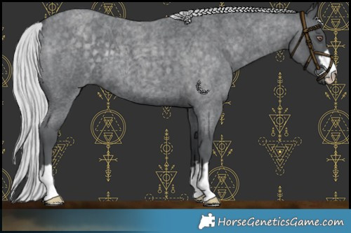 Horse Color:Platinum Silver Blue Chinchilla Roan 