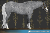 Horse Color:Platinum Silver Blue Chinchilla Roan 