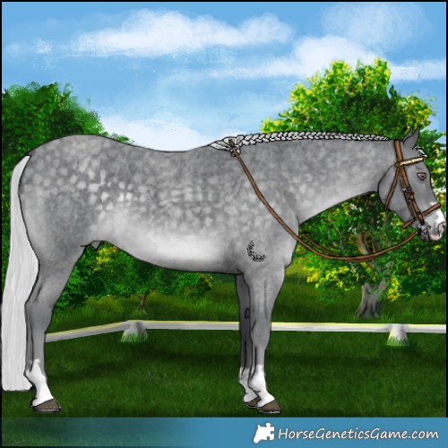 Horse Color:Platinum Silver Blue Chinchilla Roan 
