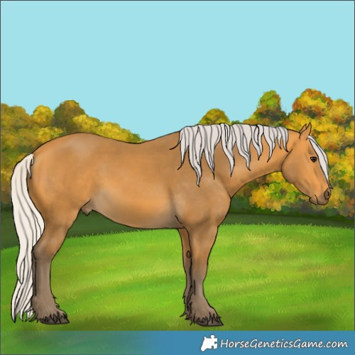 Horse Color:Silver Buckskin