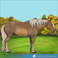 Horse Color:Chocolate Palomino