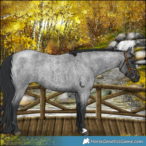 Horse Color:Platinum Blue Chinchilla Roan