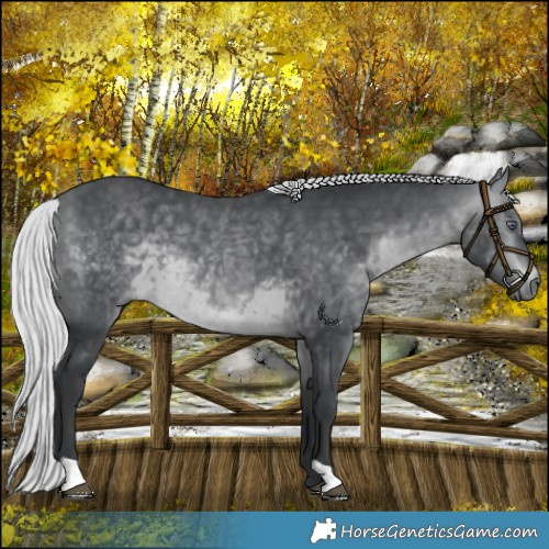 Horse Color:Platinum Silver Brown Chinchilla 