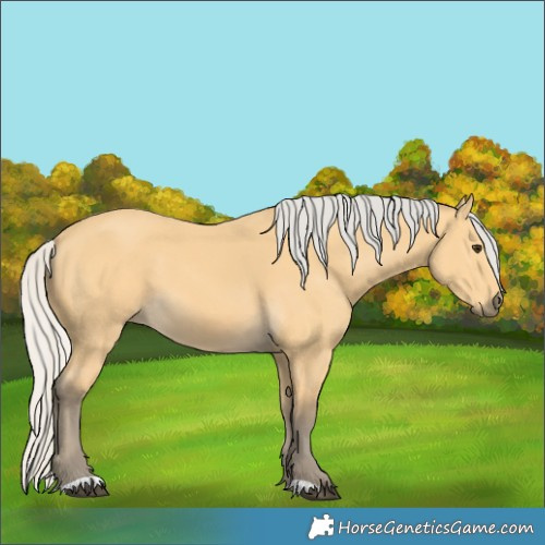 Horse Color:Silver Buckskin 