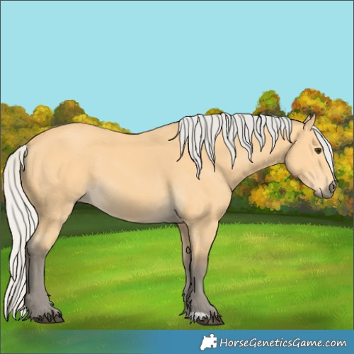 Horse Color:Silver Buckskin 