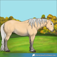 Horse Color:Silver Buckskin 