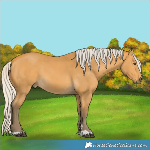 Horse Color:Silver Buckskin 