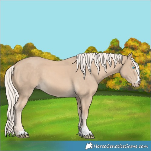 Horse Color:Cremello 