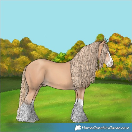 Horse Color:Gold Champagne Splash 