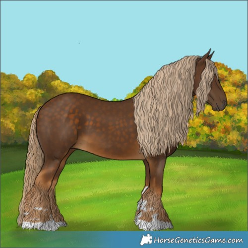 Horse Color:Chocolate Palomino 