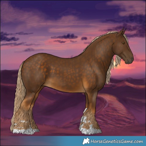 Horse Color:Chocolate Palomino 