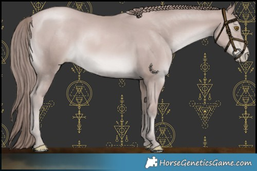 Horse Color:Platinum Black Pearl Mushroom 