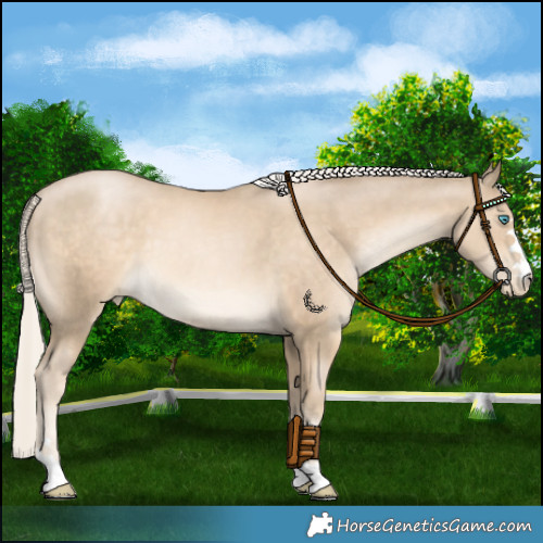 Horse Color:Chocolate Palomino Pearl Mushroom 