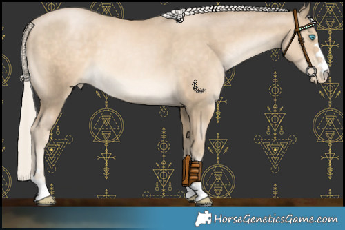 Horse Color:Chocolate Palomino Pearl Mushroom