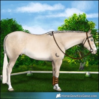 Horse Color:Chocolate Palomino Pearl Mushroom